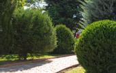 Туры в отель Riviera Sunrise Resort & Spa