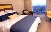 Туры в отель Camino Real Pedregal