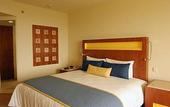 Туры в отель Camino Real Pedregal