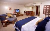 Туры в отель Camino Real Pedregal