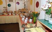 Туры в отель Alphotel