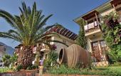 Туры в отель Telmessos Neva Hotel