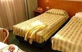 Туры в отель The Brand Hotel Roma