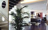 Туры в отель IH Hotel Roma Z3