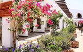 Туры в отель Aida Better Life Resort