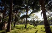 Туры в отель Apricot Resort