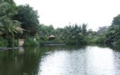 Туры в отель Apricot Resort