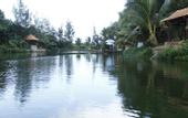 Туры в отель Apricot Resort