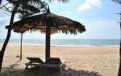 Туры в отель Apricot Resort