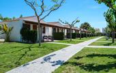 Туры в отель Camping Vendrell Platja