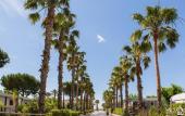 Туры в отель Camping Vendrell Platja