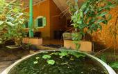 Туры в отель Susantha Garden