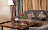 Туры в отель Rayan Hotel Sharjah