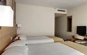 Туры в отель Best Western Paris CDG Airport Hotel Roissy-en-France
