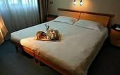 Туры в отель Idea Hotel Roma Nomentana