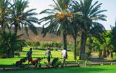 Туры в отель El Plantio Golf Resort