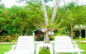 Туры в отель Tip Anda Resort