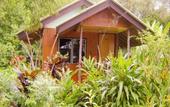 Туры в отель Tip Anda Resort