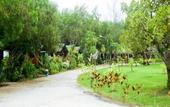 Туры в отель Tip Anda Resort