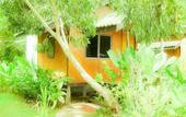 Туры в отель Tip Anda Resort