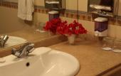 Туры в отель Swiss Wellness Spa Resort