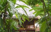 Туры в отель Barefoot Resort Havelock Island