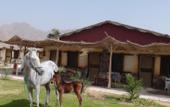 Туры в отель Sayadeen Village Red Sea Riviera