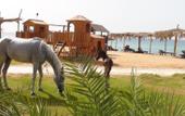 Туры в отель Sayadeen Village Red Sea Riviera
