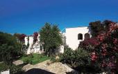 Туры в отель Akvaryum Beach Hotel