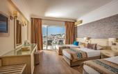 Туры в отель Palmin Hotel