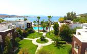 Туры в отель Costa Luvi Hotel