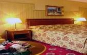 Туры в отель Palace Marina Dinevi