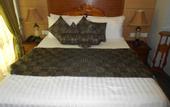 Туры в отель Loona Hotel