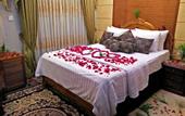 Туры в отель Loona Hotel