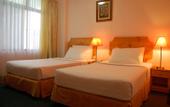 Туры в отель Marble Hotel Male