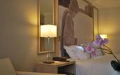 Туры в отель Mercure Paris Velizy