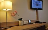 Туры в отель Mercure Paris Velizy