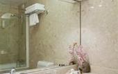 Туры в отель Mercure Paris Velizy