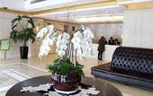 Туры в отель Ruite Hotel Shanghai