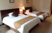 Туры в отель Dijon Hotel Shanghai Hongqiao Airport