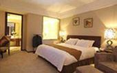Туры в отель Dijon Hotel Shanghai Hongqiao Airport