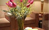 Туры в отель Dijon Hotel Shanghai Hongqiao Airport