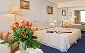 Туры в отель Cannes Palace