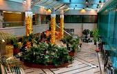 Туры в отель Supreme Tower Hotel