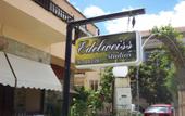 Туры в отель Edelweiss Studios