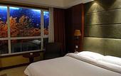 Туры в отель Jialong Sunny Hotel