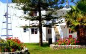Туры в отель Diamond Boutique Hotel