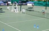 Туры в отель Tennis hotel