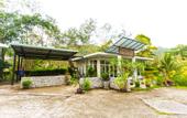 Туры в отель The Trees Club Resort