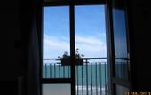 Туры в отель Hotel Delaville